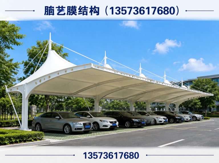 高密市膜结构车棚展示图